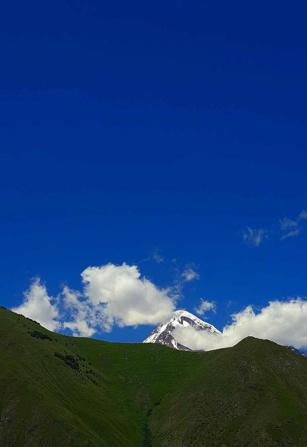 Trip Zone Kazbegi Apartment Luaran gambar